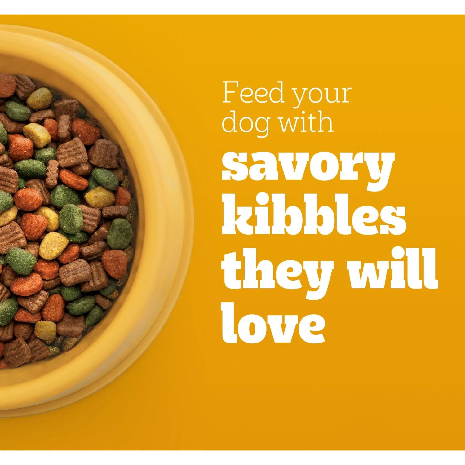 Pedigree High Protein Chicken & Turkey Flavor Adult Dry Dog Food 6 Pedigree High Protein Chicken & Turkey Flavor Adult Dry Dog Food - Image 4