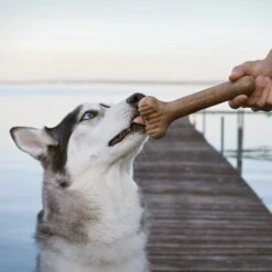 Lumabone Bulkster Bacon Flavor Dog Toy -Snuggle Paws 370197 PT4. AC SS1800 V1646783525