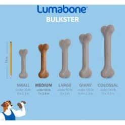 Lumabone Bulkster Bacon Flavor Dog Toy -Snuggle Paws 370197 PT5. AC SS1800 V1646764954