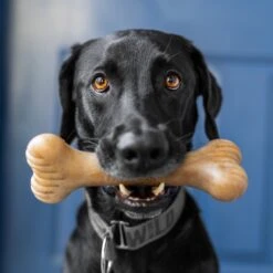 Lumabone Bulkster Beef Flavor Dog Toy -Snuggle Paws 370204 PT4. AC SS1800 V1646795884