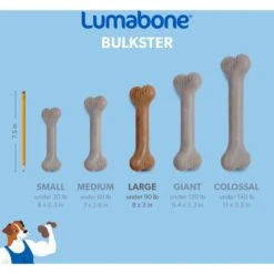 Lumabone Bulkster Beef Flavor Dog Toy -Snuggle Paws 370204 PT5. AC SS1800 V1646765525
