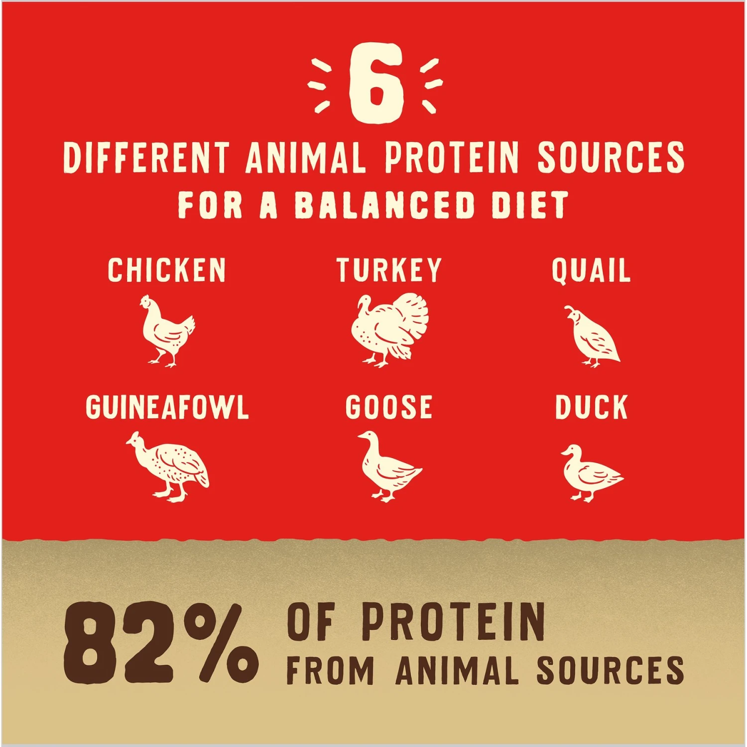 Stella & Chewy's Puppy Prairie Recipe Wild Red Raw Coated High Protein Wholesome Grains Dry Dog Food 8 Stella & Chewy's Puppy Prairie Recipe Wild Red Raw Coated High Protein Wholesome Grains Dry Dog Food - Image 6