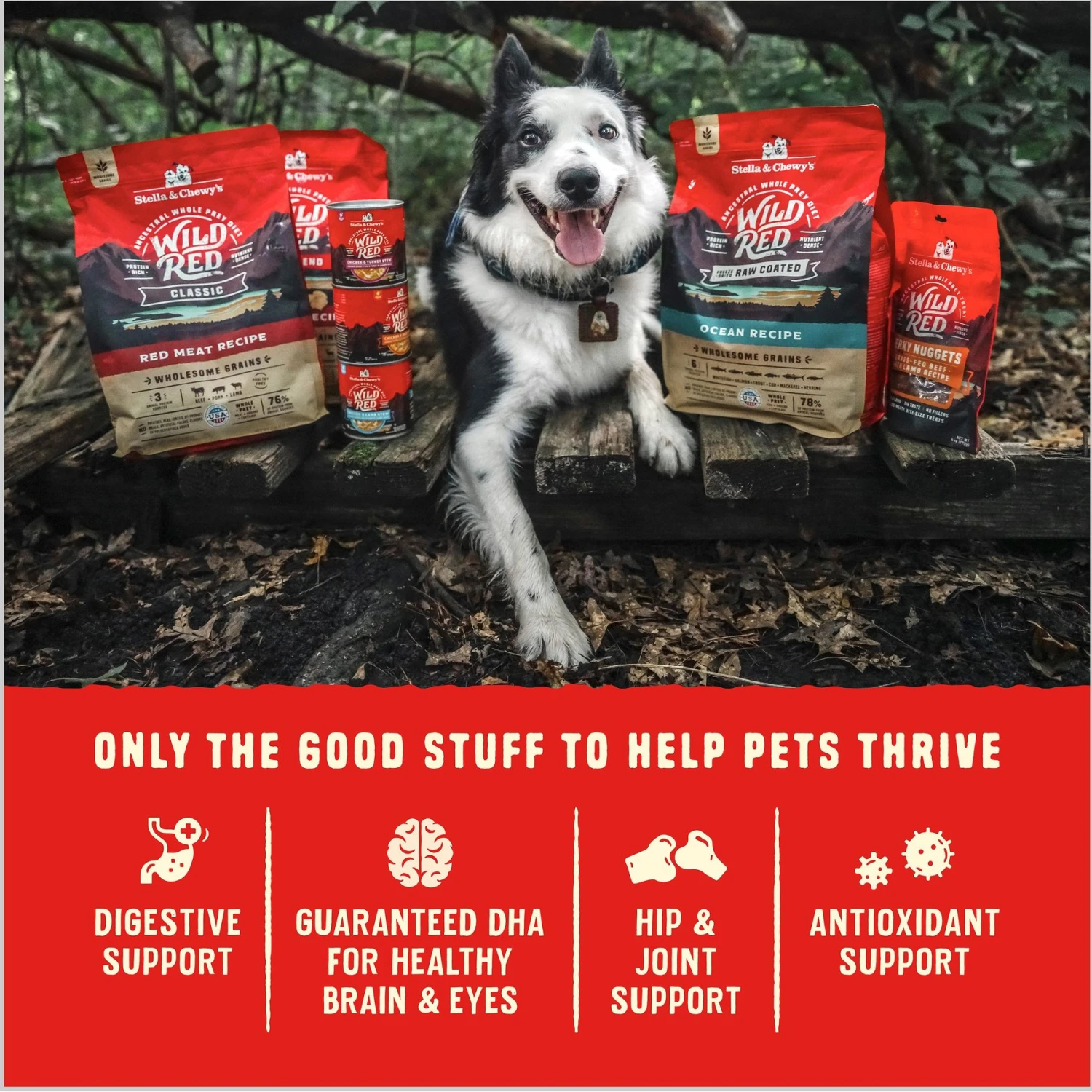 Stella & Chewy's Puppy Prairie Recipe Wild Red Raw Coated High Protein Wholesome Grains Dry Dog Food 11 Stella & Chewy's Puppy Prairie Recipe Wild Red Raw Coated High Protein Wholesome Grains Dry Dog Food - Image 9