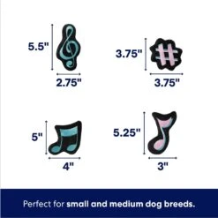 Frisco Valentine Love Song Record Player Hide & Seek Puzzle Plush Squeaky Dog Toy -Snuggle Paws 371087 PT2. AC SS1800 V1701364927