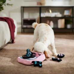 Frisco Valentine Love Song Record Player Hide & Seek Puzzle Plush Squeaky Dog Toy -Snuggle Paws 371087 PT3. AC SS1800 V1668737233