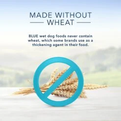 Blue Buffalo Homestyle Recipe Turkey Meatloaf Dinner With Garden Vegetables Canned Dog Food 14 Blue Buffalo Homestyle Recipe Turkey Meatloaf Dinner With Garden Vegetables Canned Dog Food -Snuggle Paws 46805 PT5. AC SS1800 V1572895132