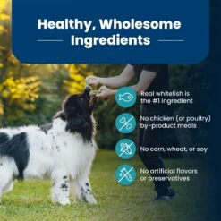 Blue Buffalo Life Protection Formula Adult Fish & Brown Rice Recipe Dry Dog Food 16 Blue Buffalo Life Protection Formula Adult Fish & Brown Rice Recipe Dry Dog Food -Snuggle Paws 46858 PT5. AC SS1800 V1704319591