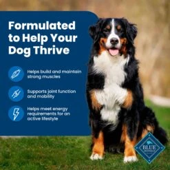 Blue Buffalo Life Protection Formula Adult Chicken & Brown Rice Recipe Dry Dog Food 14 Blue Buffalo Life Protection Formula Adult Chicken & Brown Rice Recipe Dry Dog Food -Snuggle Paws 46861 PT3. AC SS1800 V1689355691