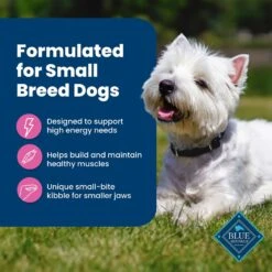 Blue Buffalo Life Protection Formula Small Breed Adult Chicken & Brown Rice Recipe Dry Dog Food 14 Blue Buffalo Life Protection Formula Small Breed Adult Chicken & Brown Rice Recipe Dry Dog Food -Snuggle Paws 46874 PT3. AC SS1800 V1704319711