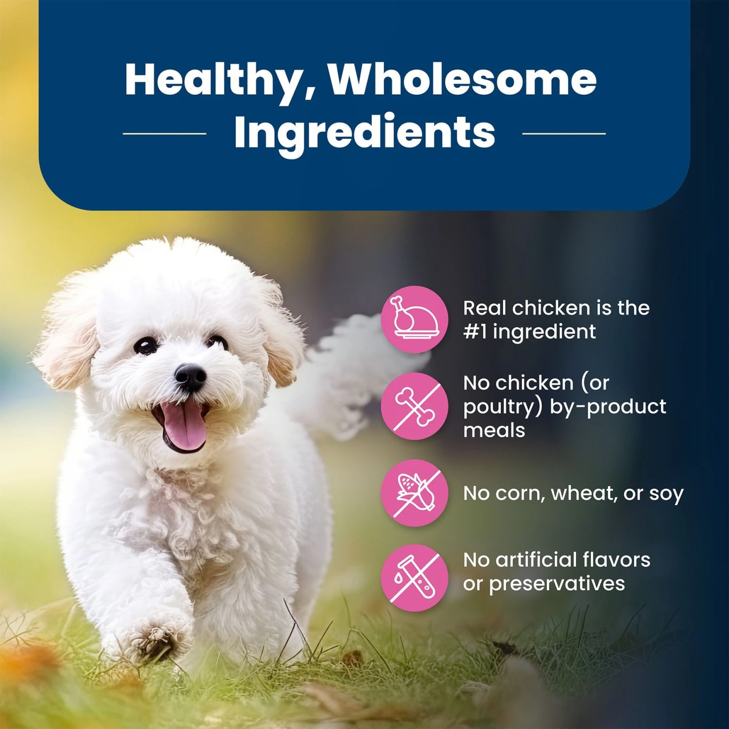 Blue Buffalo Life Protection Formula Small Breed Adult Chicken & Brown Rice Recipe Dry Dog Food 8 Blue Buffalo Life Protection Formula Small Breed Adult Chicken & Brown Rice Recipe Dry Dog Food - Image 6