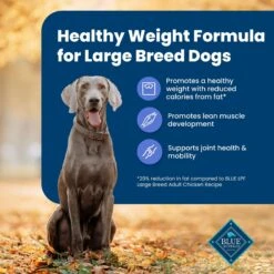 Blue Buffalo Life Protection Formula Large Breed Healthy Weight Adult Chicken & Brown Rice Recipe Dry Dog Food -Snuggle Paws 46892 PT3. AC SS1800 V1701982219