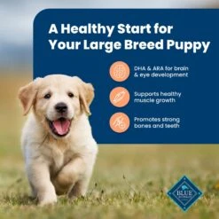Blue Buffalo Life Protection Formula Large Breed Puppy Chicken & Brown Rice Recipe Dry Dog Food -Snuggle Paws 46904 PT3. AC SS1800 V1689357587