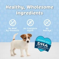 Blue Buffalo Blue Bits Tasty Chicken Recipe Soft-Moist Training Dog Treats -Snuggle Paws 46937 PT6. AC SS1800 V1601538958