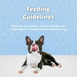 Blue Buffalo Blue Bits Tasty Chicken Recipe Soft-Moist Training Dog Treats -Snuggle Paws 46937 PT8. AC SS1800 V1601542855