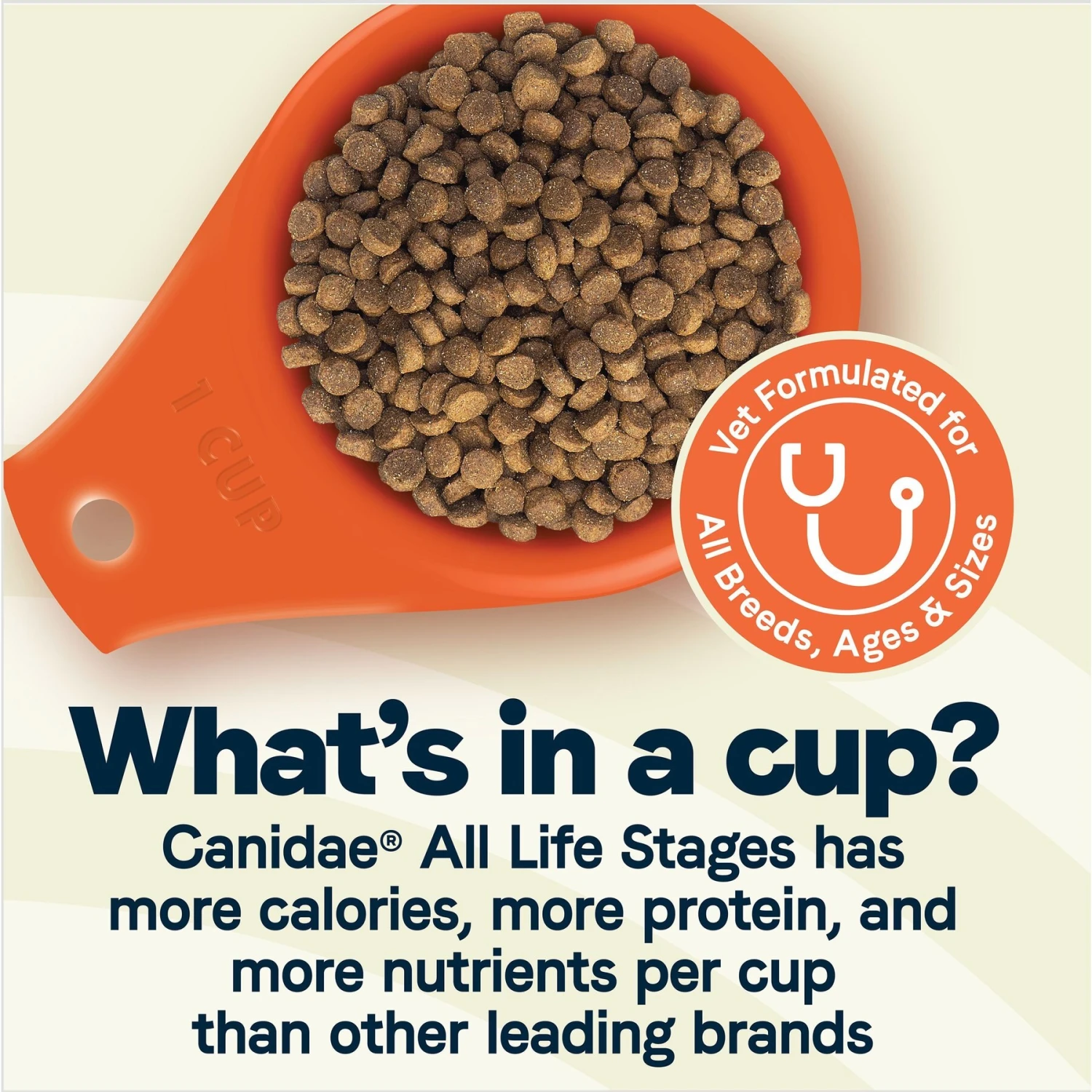CANIDAE All Life Stages Chicken, Turkey & Lamb Formula Dry Dog Food 6 CANIDAE All Life Stages Chicken, Turkey & Lamb Formula Dry Dog Food - Image 4