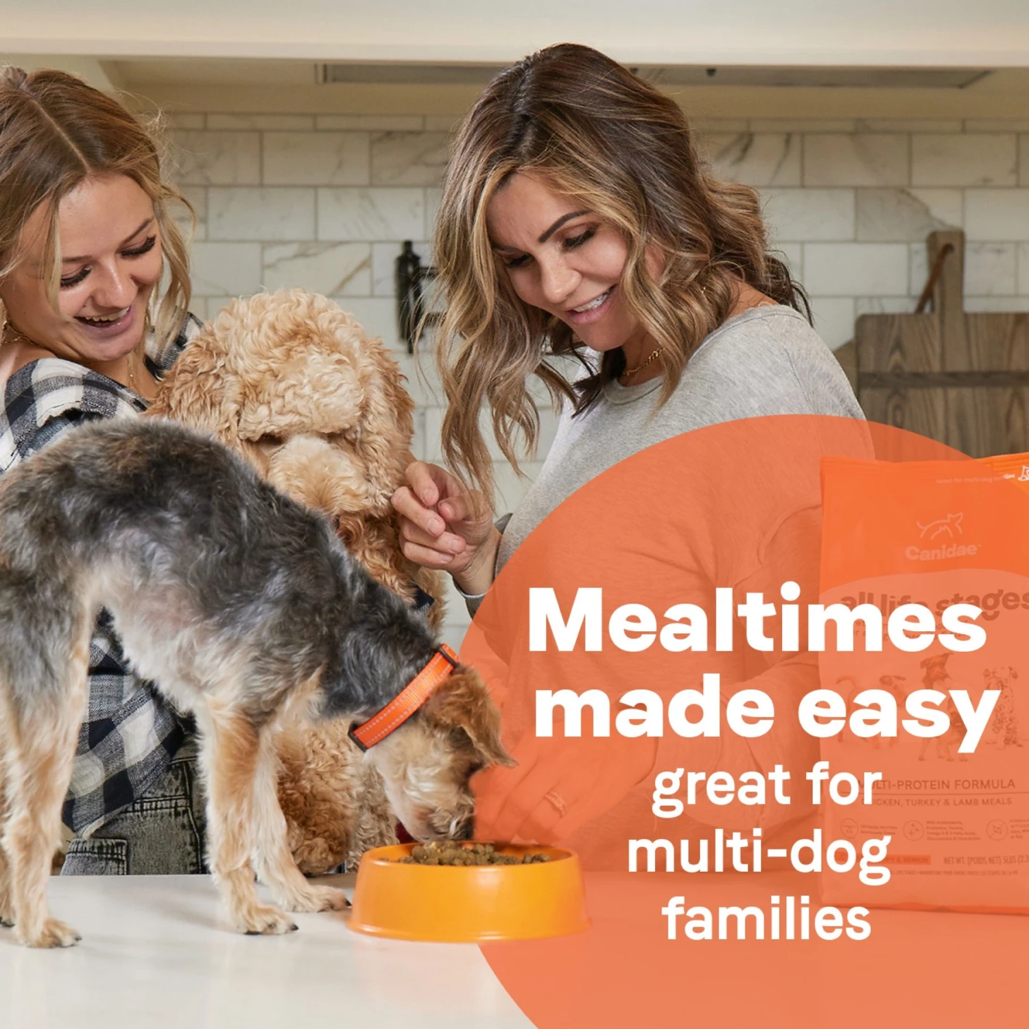 CANIDAE All Life Stages Chicken, Turkey & Lamb Formula Dry Dog Food 8 CANIDAE All Life Stages Chicken, Turkey & Lamb Formula Dry Dog Food - Image 6