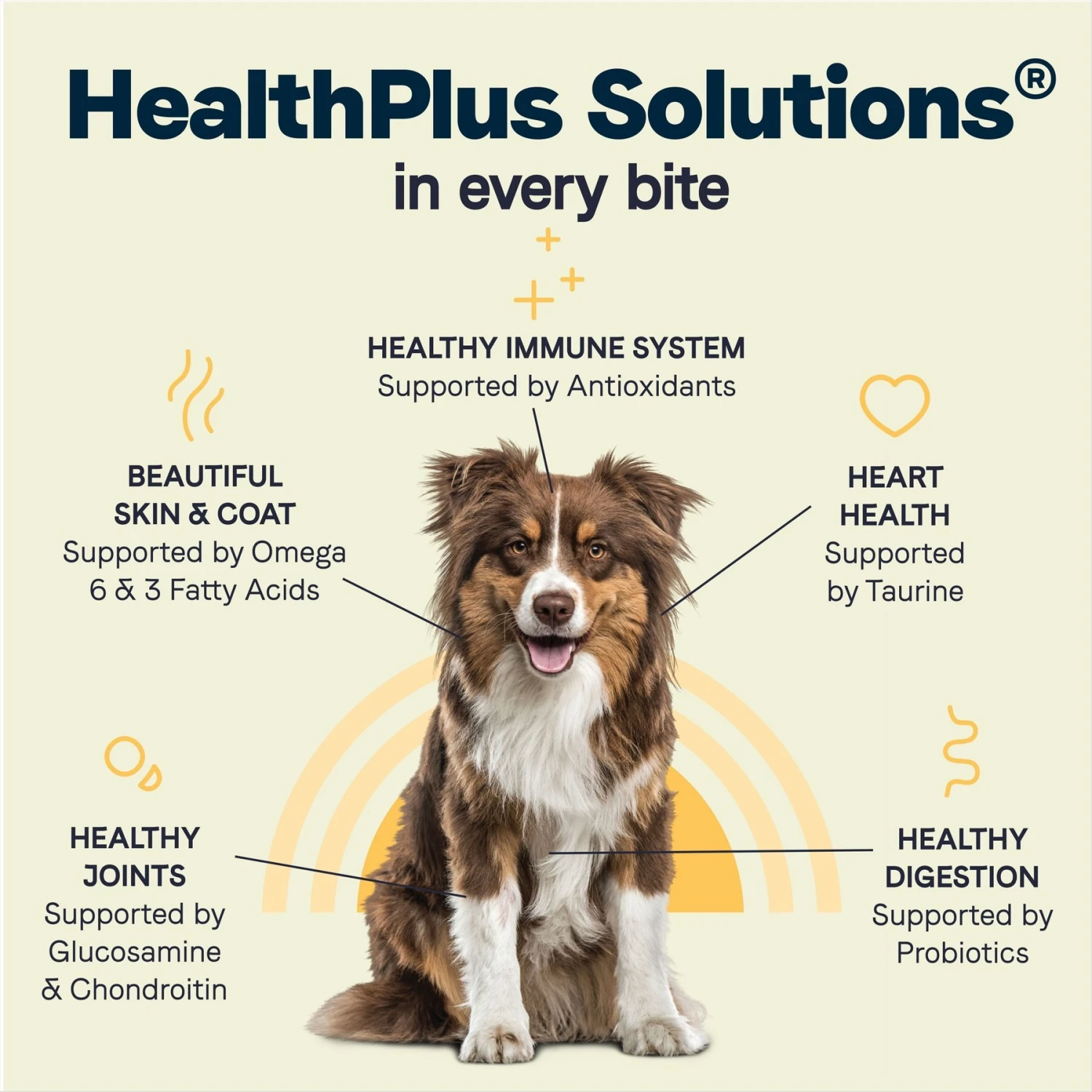 CANIDAE All Life Stages Chicken, Turkey & Lamb Formula Dry Dog Food 9 CANIDAE All Life Stages Chicken, Turkey & Lamb Formula Dry Dog Food - Image 7