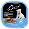 Cesar Puppy Classic Loaf In Sauce Chicken & Beef Recipe Grain-Free Small Breed Wet Dog Food Trays