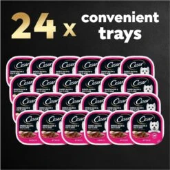 Cesar Classic Loaf In Sauce Smoked Bacon & Egg Flavor Grain-Free Small Breed Adult Wet Dog Food Trays 19 Cesar Classic Loaf In Sauce Smoked Bacon & Egg Flavor Grain-Free Small Breed Adult Wet Dog Food Trays -Snuggle Paws 47094 PT8. AC SS1800 V1695746025
