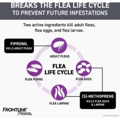 Frontline Plus Flea & Tick Spot Treatment For Large Dogs, 45-88 Lbs -Snuggle Paws 47489 PT3. AC SS1800 V1700247323