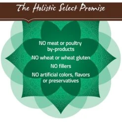 Holistic Select Large & Giant Breed Puppy Health Lamb Meal & Oatmeal Recipe Dry Dog Food -Snuggle Paws 47634 PT6. AC SS1800 V1660707237