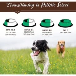 Holistic Select Large & Giant Breed Puppy Health Lamb Meal & Oatmeal Recipe Dry Dog Food -Snuggle Paws 47634 PT8. AC SS1800 V1510678994