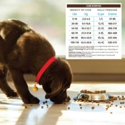 Holistic Select Adult Health Anchovy, Sardine & Salmon Meals Recipe Dry Dog Food -Snuggle Paws 47657 PT5. AC SS1800 V1660574121