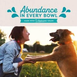 Natural Balance Original Ultra Chicken Recipe Wet Dog Food -Snuggle Paws 48010 PT5. AC SS1800 V1684441153
