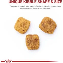 Royal Canin Breed Health Nutrition Dachshund Adult Dry Dog Food -Snuggle Paws 48694 PT3. AC SS1800 V1697054916