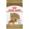 Royal Canin Breed Health Nutrition Cocker Spaniel Adult Dry Dog Food -Snuggle Paws 48717 MAIN. AC SS1800 V1695156286