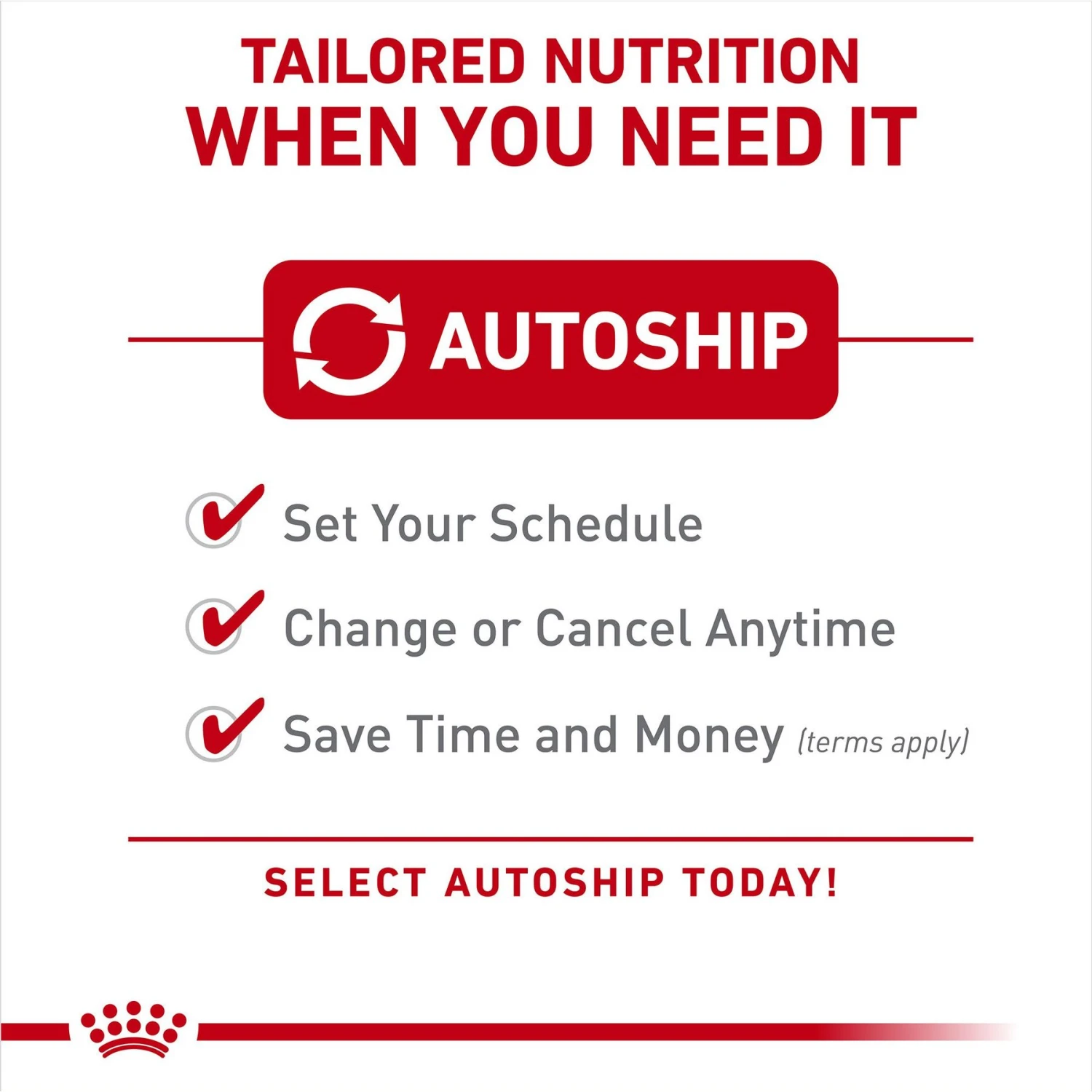 Royal Canin Breed Health Nutrition Cocker Spaniel Adult Dry Dog Food 7 Royal Canin Breed Health Nutrition Cocker Spaniel Adult Dry Dog Food - Image 5