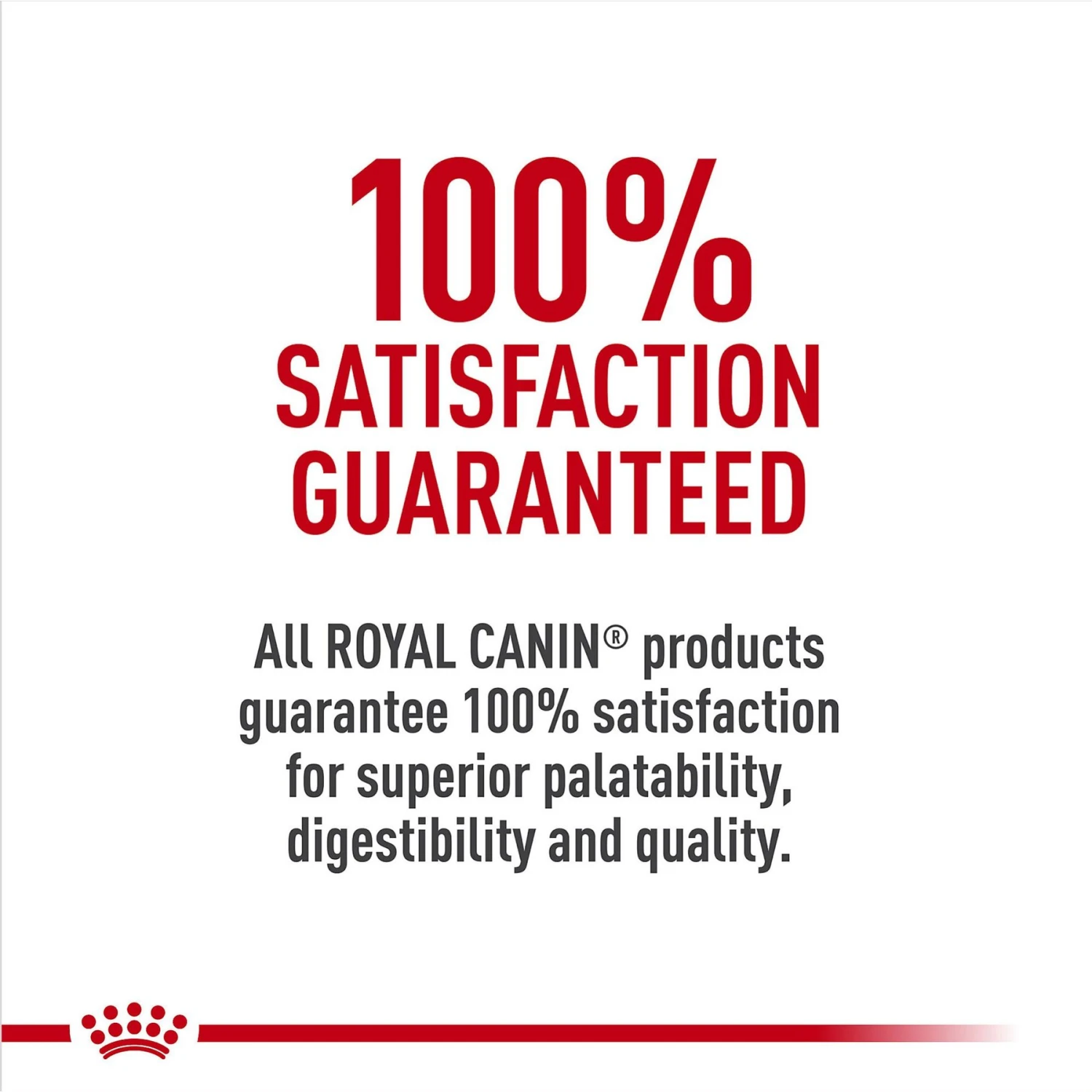 Royal Canin Breed Health Nutrition Cocker Spaniel Adult Dry Dog Food 9 Royal Canin Breed Health Nutrition Cocker Spaniel Adult Dry Dog Food - Image 7
