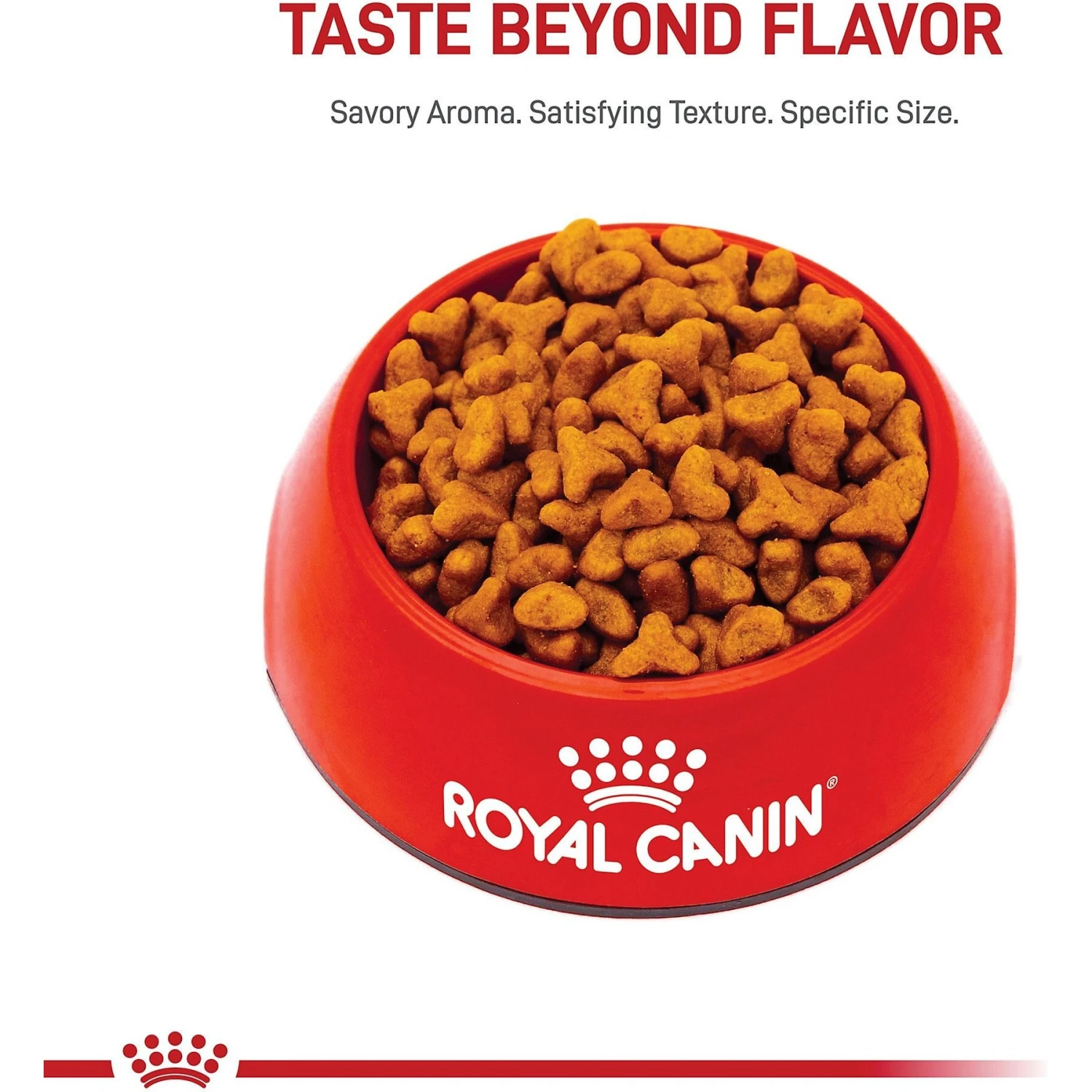 Royal Canin Breed Health Nutrition Pug Adult Dry Dog Food 4 Royal Canin Breed Health Nutrition Pug Adult Dry Dog Food - Image 2