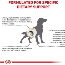 Royal Canin Veterinary Diet Adult Urinary SO Moderate Calorie Dry Dog Food 13 Royal Canin Veterinary Diet Adult Urinary SO Moderate Calorie Dry Dog Food -Snuggle Paws 48762 PT2. AC SS1800 V1670425385