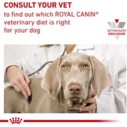 Royal Canin Veterinary Diet Adult Urinary SO Moderate Calorie Dry Dog Food 19 Royal Canin Veterinary Diet Adult Urinary SO Moderate Calorie Dry Dog Food -Snuggle Paws 48762 PT8. AC SS1800 V1670425389