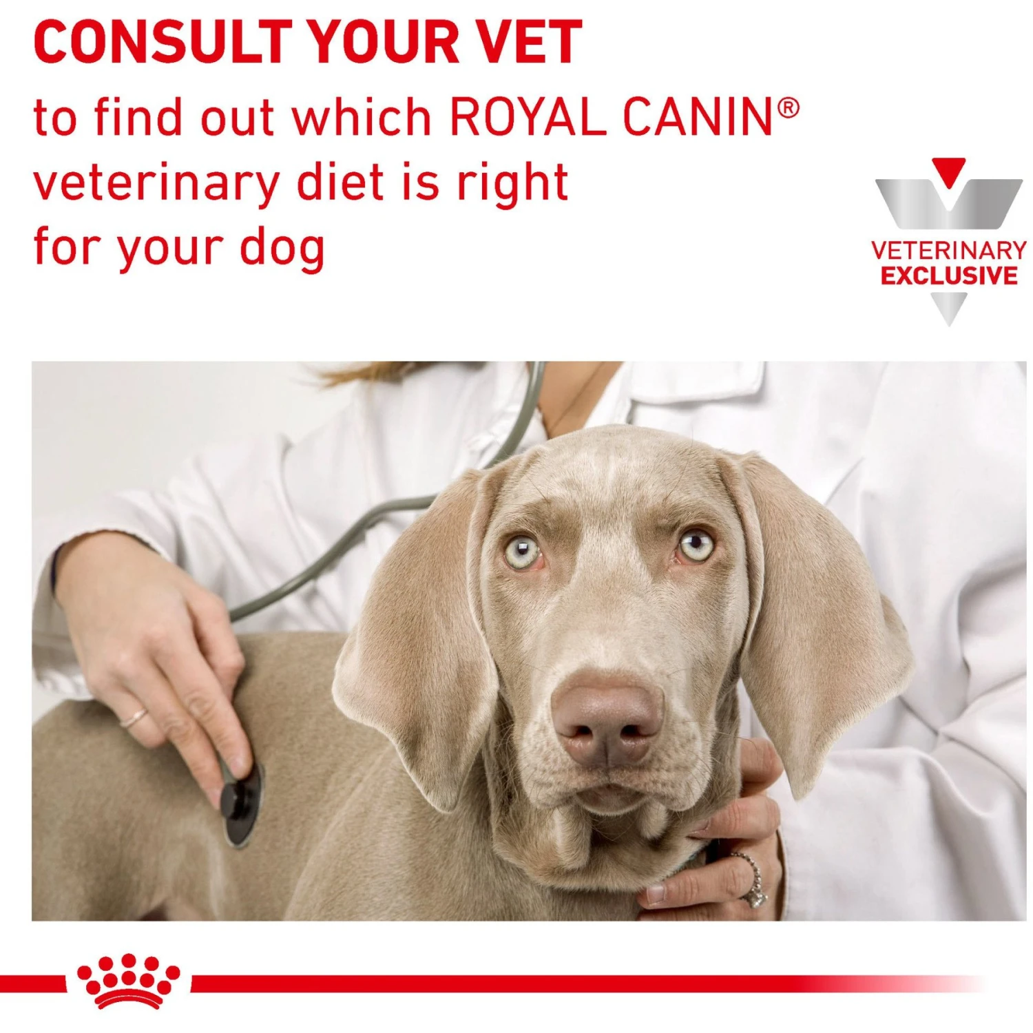 Royal Canin Veterinary Diet Adult Urinary SO Moderate Calorie Thin Slices In Gravy Canned Dog Food 9 Royal Canin Veterinary Diet Adult Urinary SO Moderate Calorie Thin Slices In Gravy Canned Dog Food - Image 7