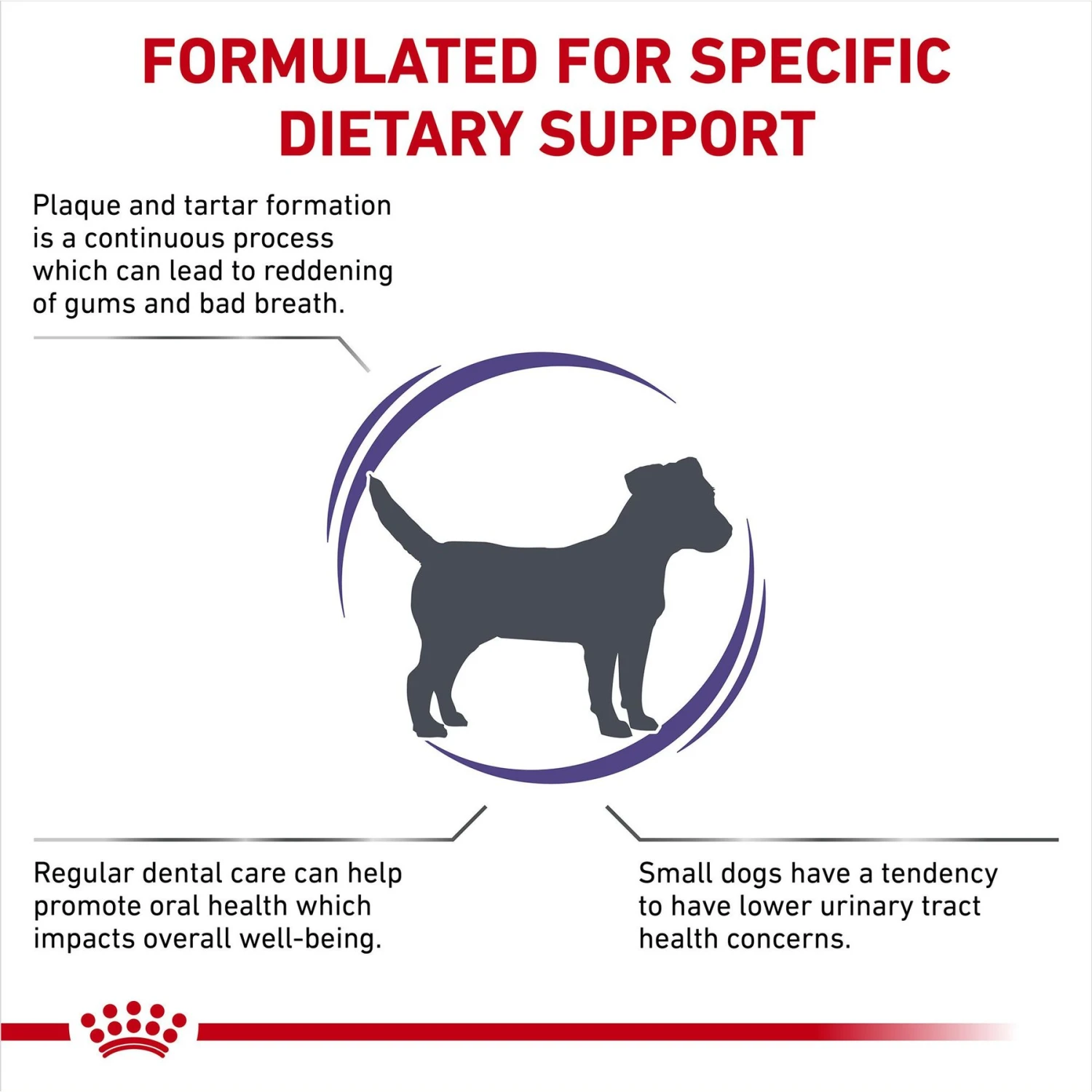 Royal Canin Veterinary Diet Adult Dental Small Breed Dry Dog Food 5 Royal Canin Veterinary Diet Adult Dental Small Breed Dry Dog Food - Image 3
