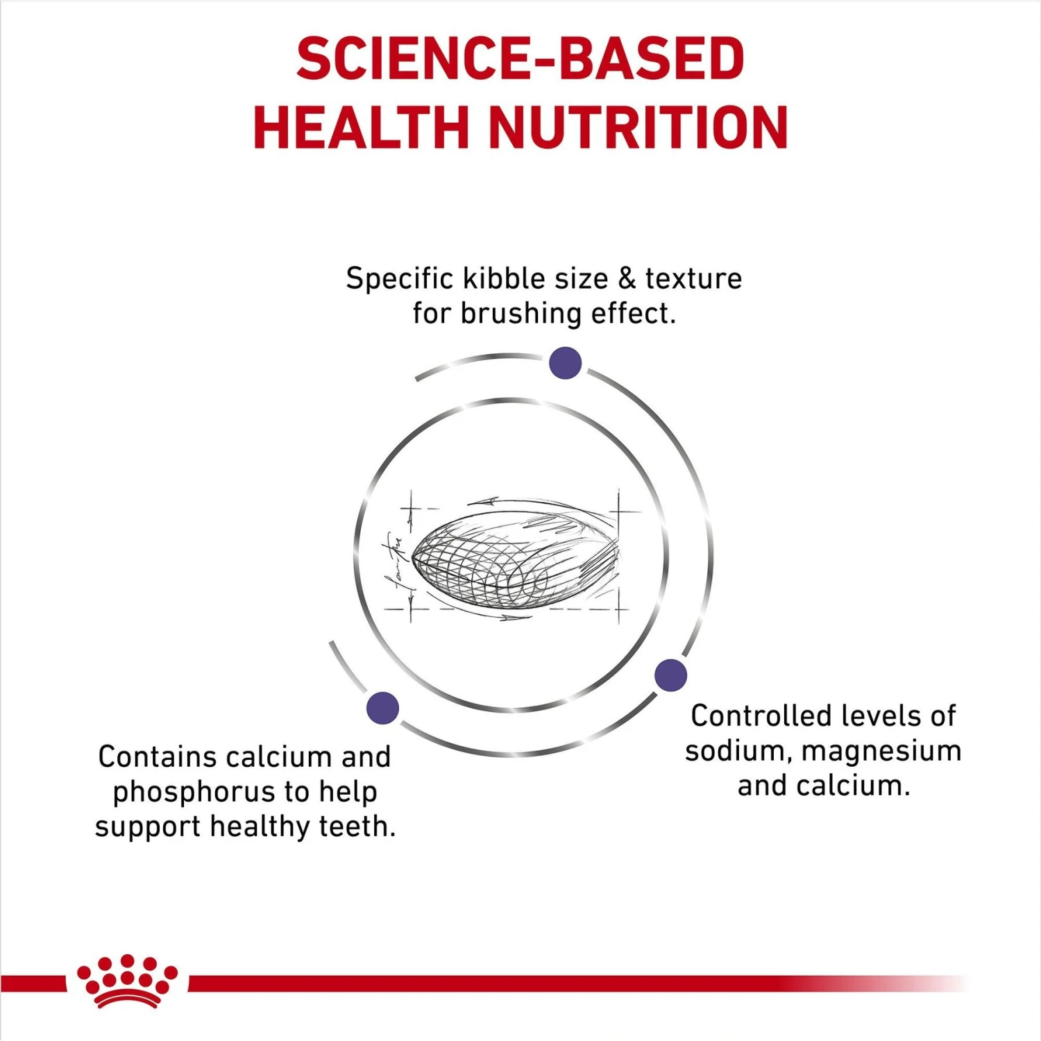 Royal Canin Veterinary Diet Adult Dental Small Breed Dry Dog Food 6 Royal Canin Veterinary Diet Adult Dental Small Breed Dry Dog Food - Image 4