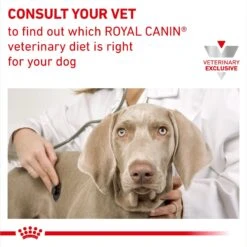 Royal Canin Veterinary Diet Adult Dental Small Breed Dry Dog Food 18 Royal Canin Veterinary Diet Adult Dental Small Breed Dry Dog Food -Snuggle Paws 48815 PT7. AC SS1800 V1694465155