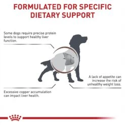 Royal Canin Veterinary Diet Adult Hepatic Dry Dog Food -Snuggle Paws 48831 PT3. AC SS1800 V1691702145