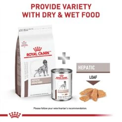 Royal Canin Veterinary Diet Adult Hepatic Dry Dog Food -Snuggle Paws 48831 PT4. AC SS1800 V1691702144