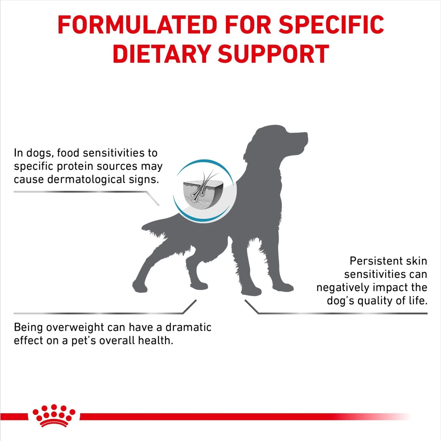 Royal Canin Veterinary Diet Adult Hydrolyzed Protein Moderate Calorie Dry Dog Food 7 Royal Canin Veterinary Diet Adult Hydrolyzed Protein Moderate Calorie Dry Dog Food - Image 5