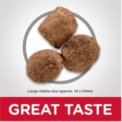 Hill's Science Diet Adult Healthy Mobility Large Breed Chicken Meal, Brown Rice & Barley Recipe Dry Dog Food -Snuggle Paws 48930 PT1. AC SS1800 V1629133311