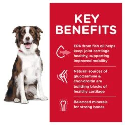 Hill's Science Diet Adult Healthy Mobility Large Breed Chicken Meal, Brown Rice & Barley Recipe Dry Dog Food -Snuggle Paws 48930 PT2. AC SS1800 V1629133290