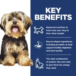 Hill's Science Diet Adult Small & Mini Chicken Meal & Rice Recipe Dry Dog Food 16 Hill's Science Diet Adult Small & Mini Chicken Meal & Rice Recipe Dry Dog Food -Snuggle Paws 48941 PT5. AC SS1800 V1692798791