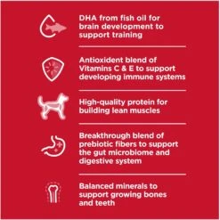 Hill's Science Diet Puppy Chicken & Barley Entree Canned Dog Food 14 Hill's Science Diet Puppy Chicken & Barley Entree Canned Dog Food -Snuggle Paws 48946 PT3. AC SS1800 V1690571496