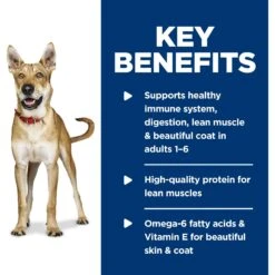 Hill's Science Diet Adult Chicken & Barley Entree Canned Dog Food -Snuggle Paws 48959 PT5. AC SS1800 V1598146869