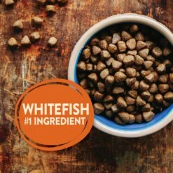 Wellness CORE Ocean Whitefish, Herring & Salmon Recipe Dry Dog Food 12 Wellness CORE Ocean Whitefish, Herring & Salmon Recipe Dry Dog Food -Snuggle Paws 49158 PT3. AC SS1800 V1594855556