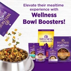 Wellness Complete Health Adult Lamb & Barley Recipe Natural Dry Dog Food -Snuggle Paws 49189 PT5. AC SS1800 V1594910164