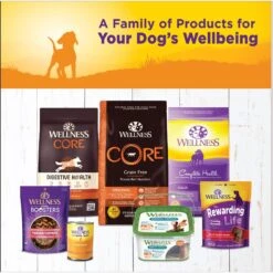 Wellness Complete Health Just For Puppy Canned Dog Food -Snuggle Paws 49210 PT4. AC SS1800 V1691423641